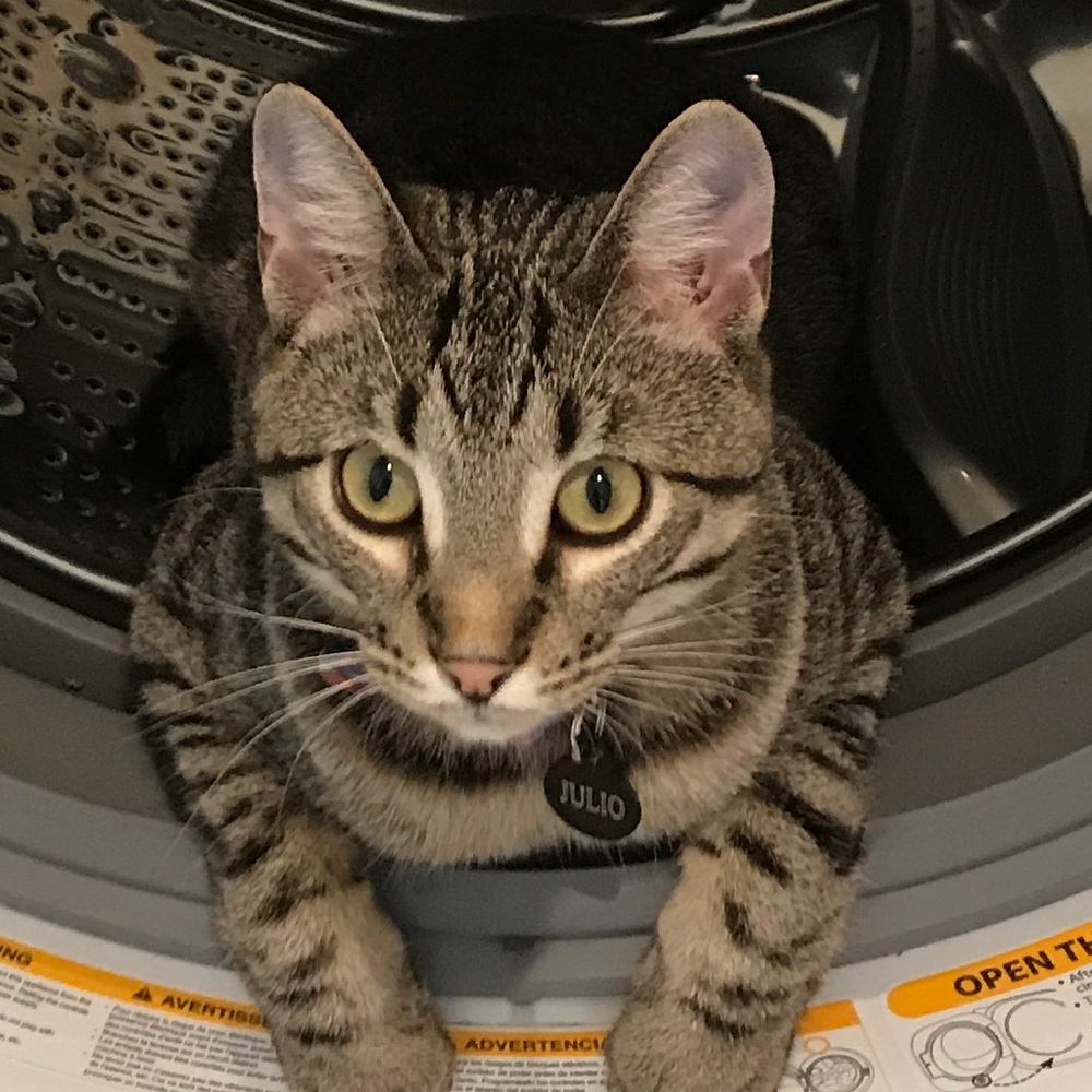 Meet your Posher, Amy